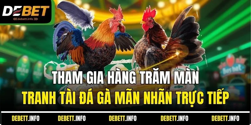 Tham gia hàng trăm màn tranh tài đá gà mãn nhãn trực tiếp